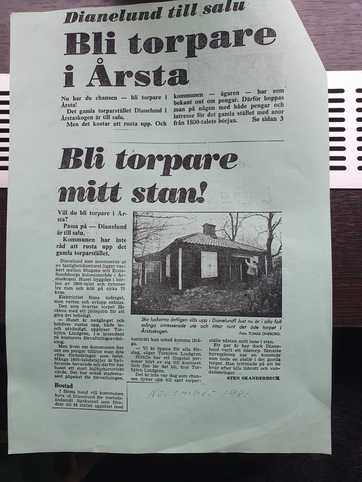 Tidningsartikel om Dianelund från 1981
